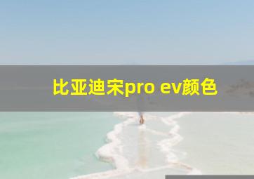 比亚迪宋pro ev颜色